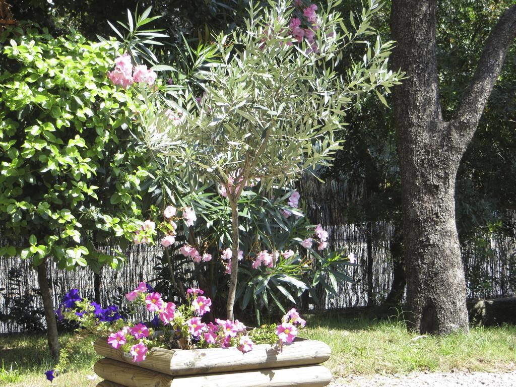 Appartement Dans Villa St Raphael Saint-Raphaël Szoba fotó