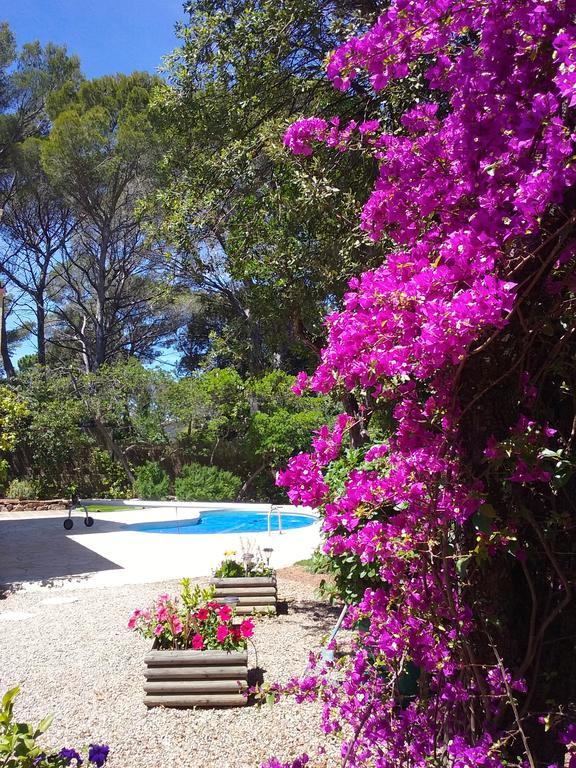 Appartement Dans Villa St Raphael Saint-Raphaël Kültér fotó